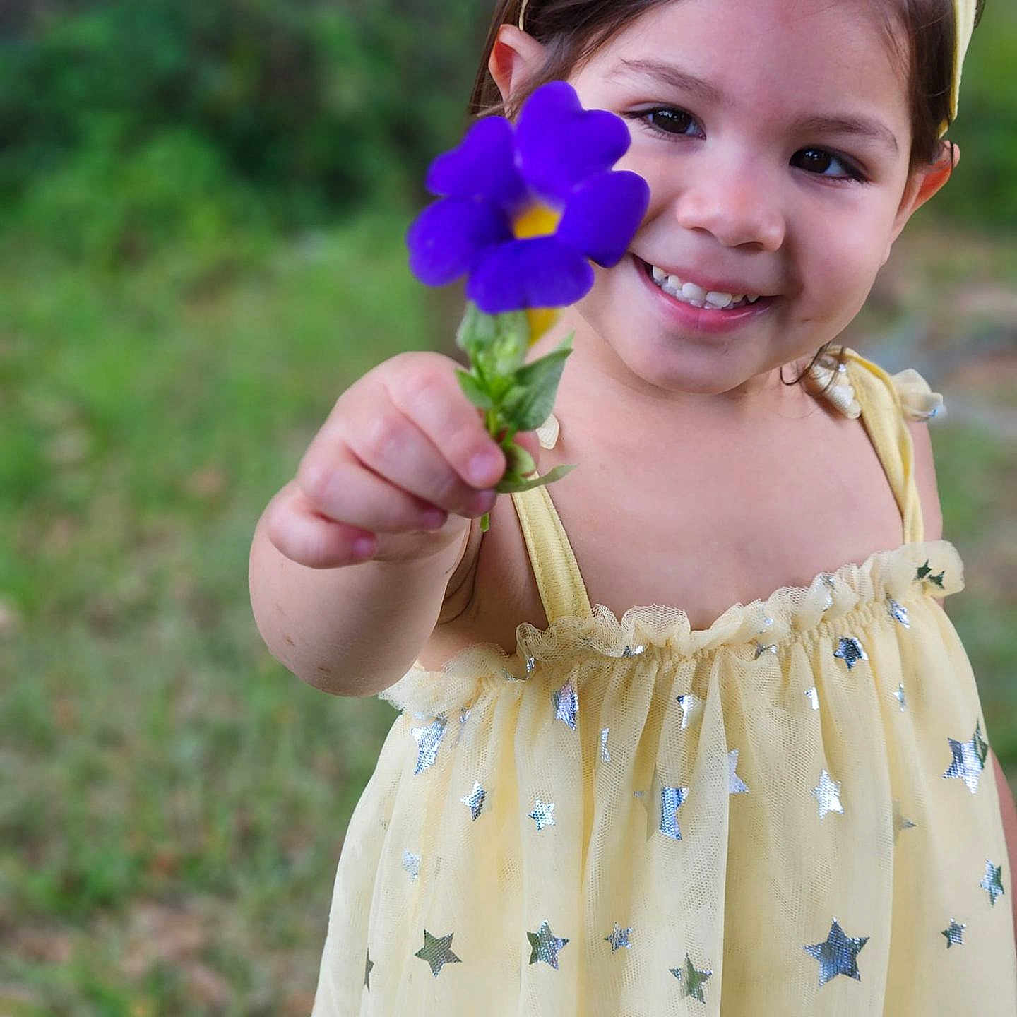 Astraia is registered to the contest to win money with this photo: anemone, child, clothing, daisy, dress, face, female, flower, geranium, grass, happy, head, person, petal, photography, plant, portrait, pottedplant, purple, smile