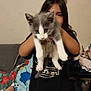 Xena joined the competition — help win amazing prizes! animal, black_hair, blanket, casual, cat, child, cute, face, foot, furniture, girl, holding, home, indoor, kitten, person, pet, room, shirt, toy