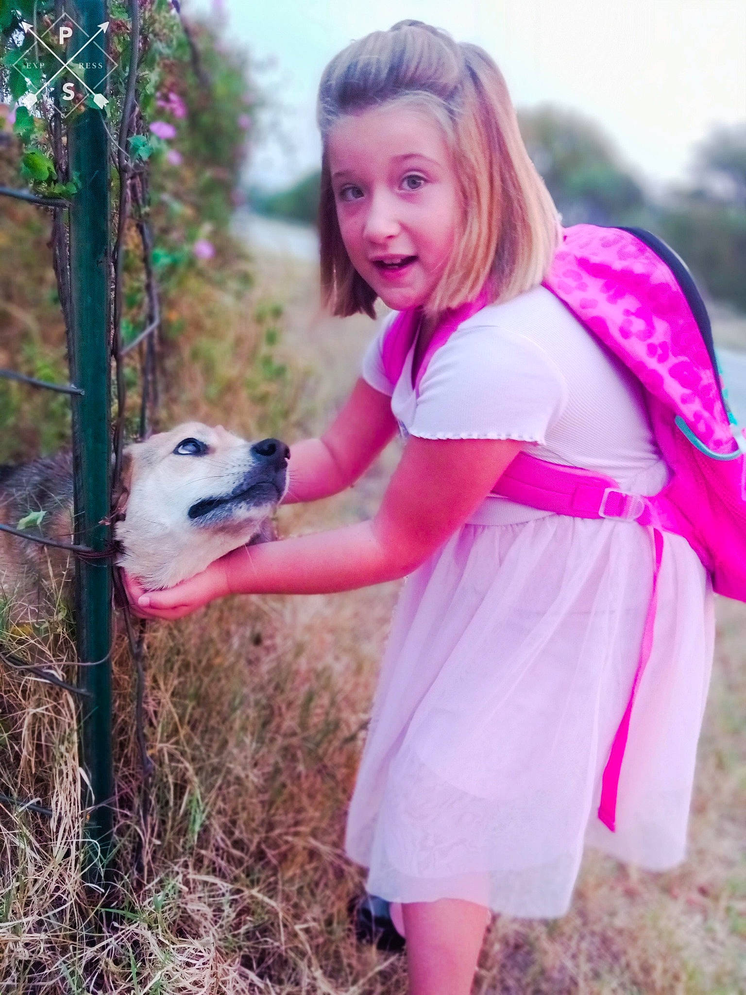 Sierra joined the competition — help win amazing prizes! carnivore, child, companion_dog, dog, eye, fawn, fence, fun, grass, happy, magenta, mammal, people_in_nature, person, pink, plant, sky, smile, toddler, tree