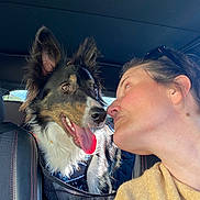 Lucky a rejoint le concours — aidez-le/la à gagner de superbes lots ! dog, person, car, seat, pet, happy, smiling, inside, vehicle, leisure, human, canine, fur, ears, tongue, closeup, affection, bond, sunlight, casual