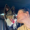 dog, person, car, seat, pet, happy, smiling, inside, vehicle, leisure, human, canine, fur, ears, tongue, closeup, affection, bond, sunlight, casual