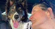 Lucky a rejoint le concours — aidez-le/la à gagner de superbes lots ! dog, woman, car_interior, seat, leather_seat, happy_dog, tongue_out, looking, pet, companion, head, ears, sunlight, casual_clothing, sunglasses, seatbelt, closeup, smile, bond, friendship
