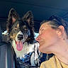 dog, woman, car_interior, seat, leather_seat, happy_dog, tongue_out, looking, pet, companion, head, ears, sunlight, casual_clothing, sunglasses, seatbelt, closeup, smile, bond, friendship