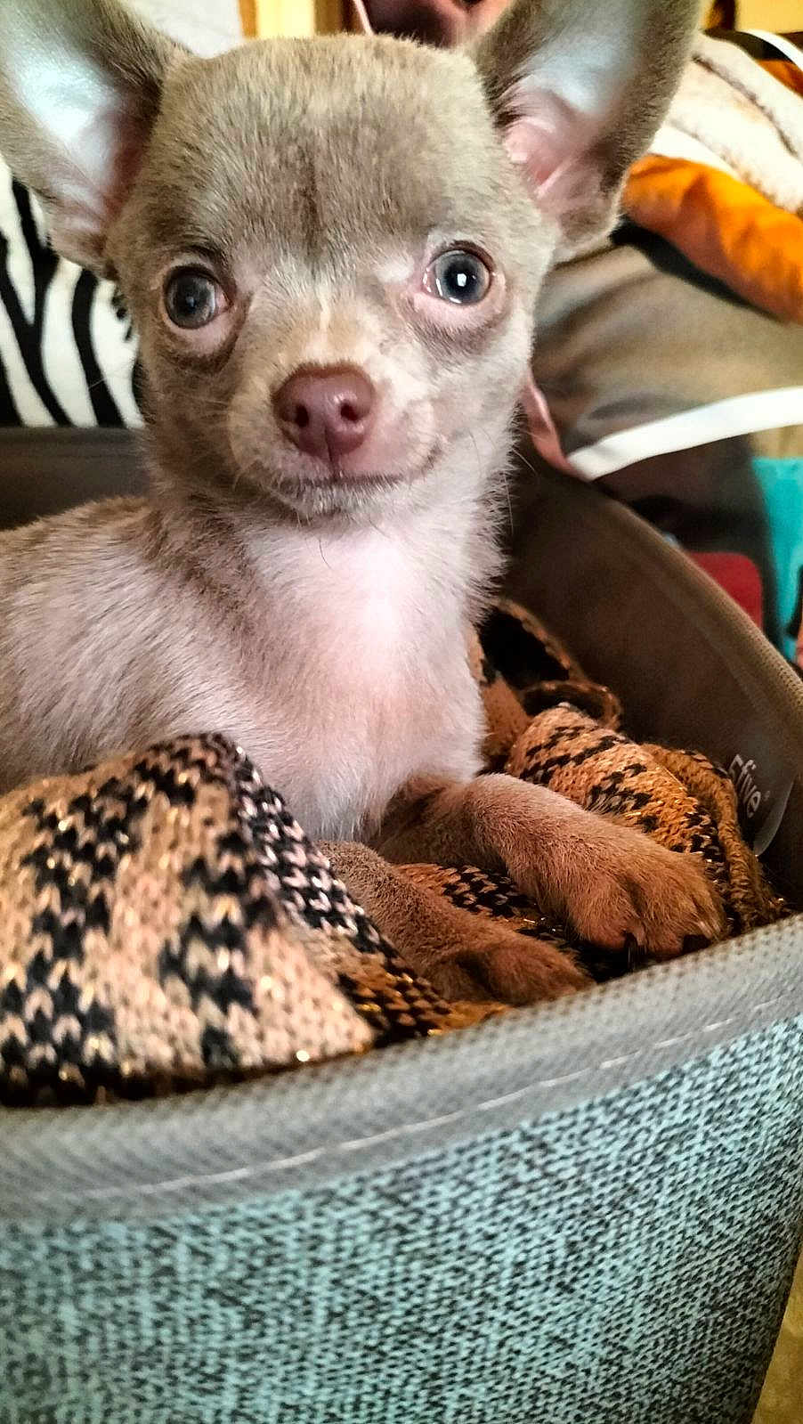 Tina