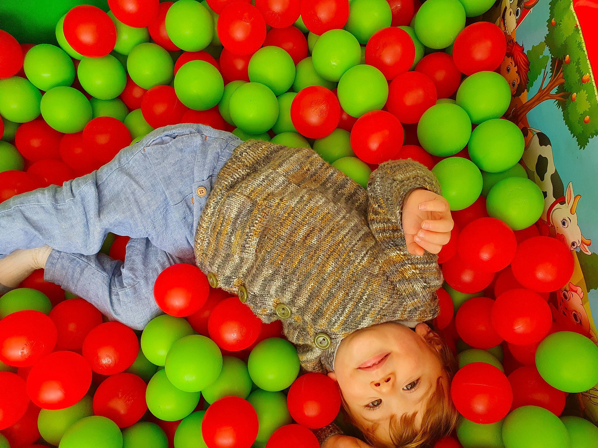 Rupert is registered to the contest to win money with this photo: ball_pit, basket, child, food, food_group, fruit, fun, grass, green, joy, leisure, local_food, natural_foods, person, play, produce, product, rangpur, seedless_fruit, superfood