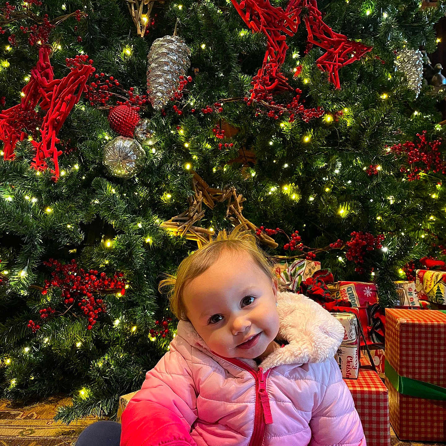Realynn is registered to the contest to win money with this photo: child, christmas_lights, christmas_tree, cute, festive, floor_rug, greenery, happy, holiday_decorations, holiday_season, indoor, pink_jacket, portrait, red_berries, red_stars, silver_pinecones, smiling, toddler, winter_clothing, wrapped_gifts