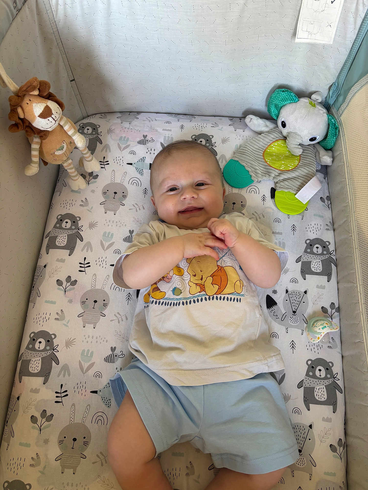 Elio