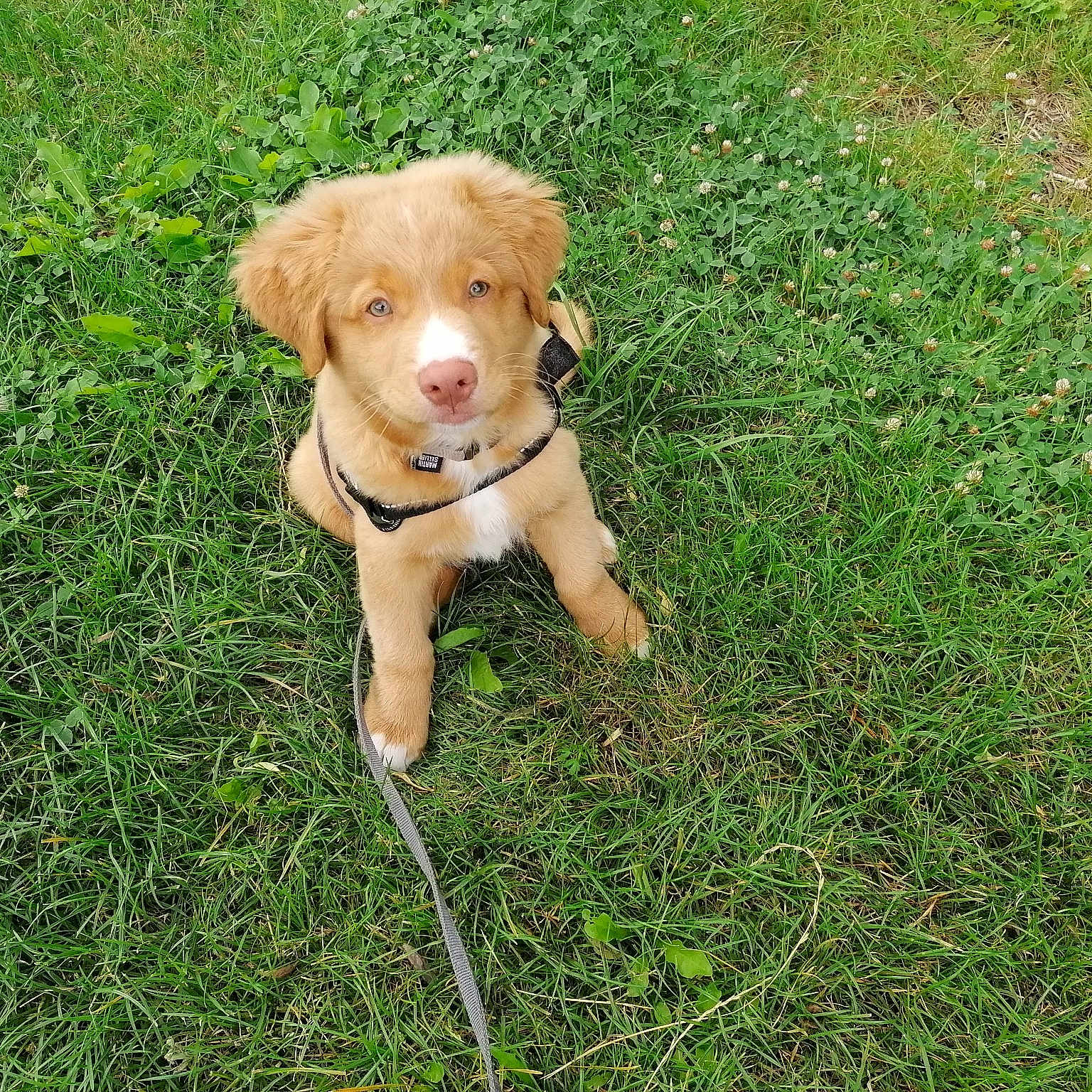 Sam