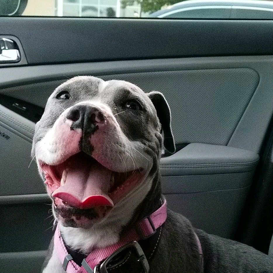 Darla-Jean
