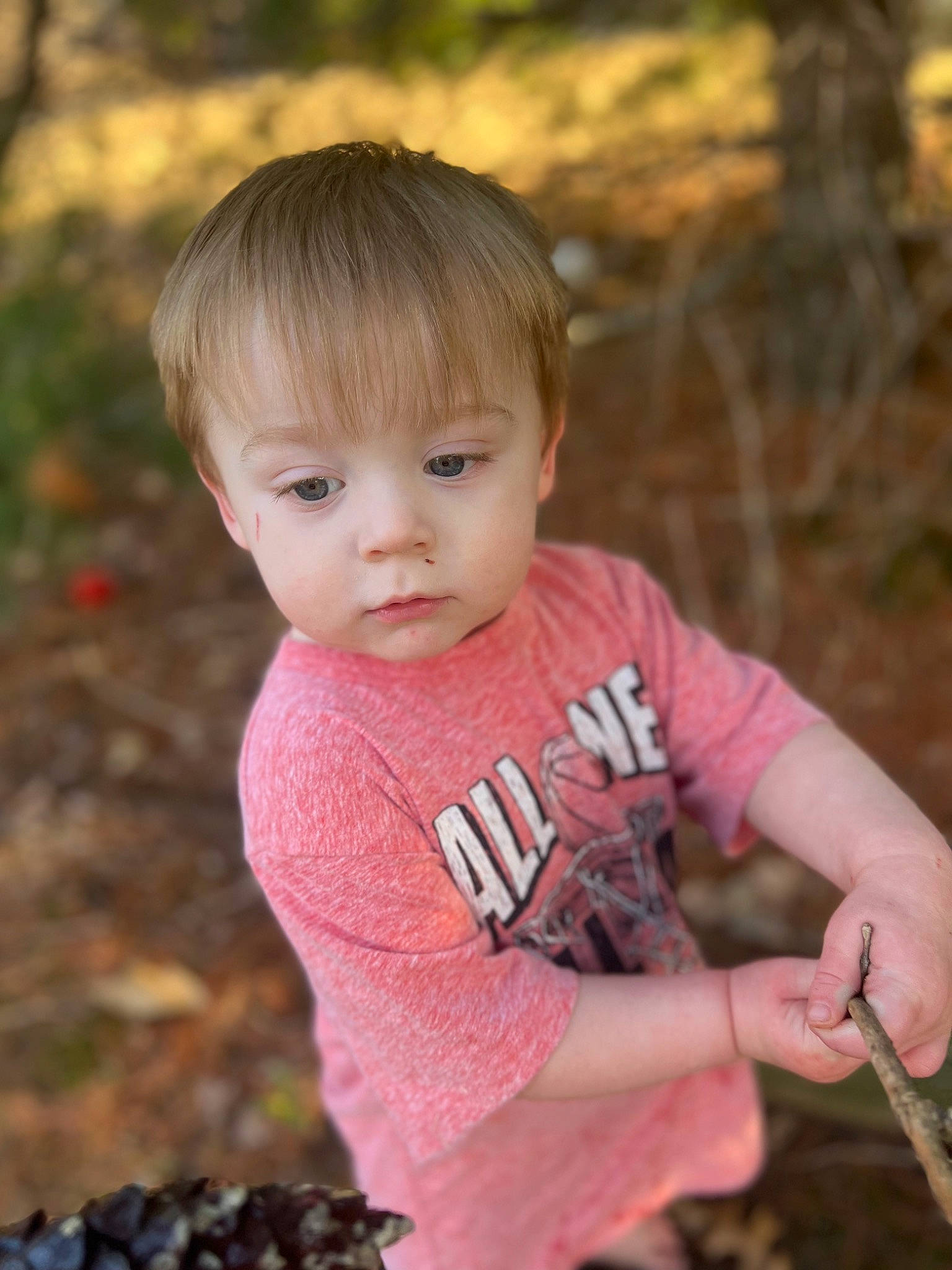Jesse joined the competition — help win amazing prizes! baby, baby_toddler_clothing, blond, cheek, child, eye, face, grass, happy, leaf, lip, people_in_nature, person, plant, sitting, skin, sleeve, t_shirt, toddler, tree