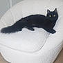 black_cat, cat, feline, indoor, chair, white_chair, fluffy, yellow_eyes, pet, animal, relaxing, furniture, modern, wooden_floor, cabinet, cozy, home, domestic, portrait, looking