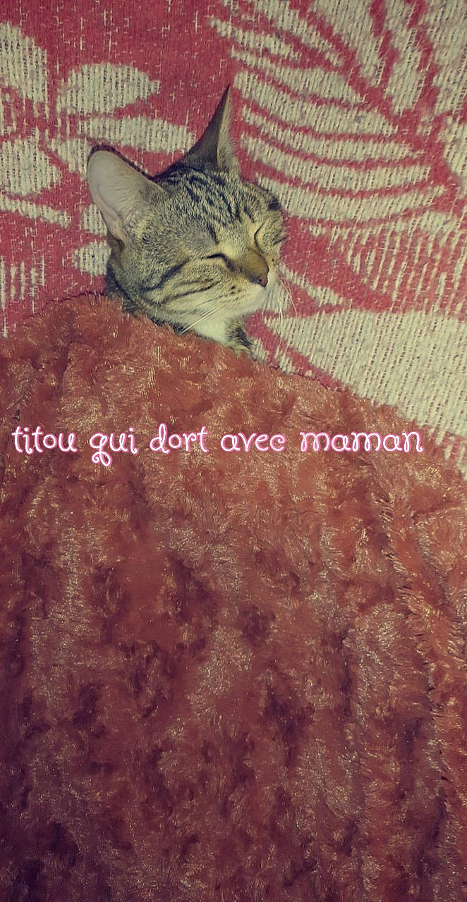 Titou