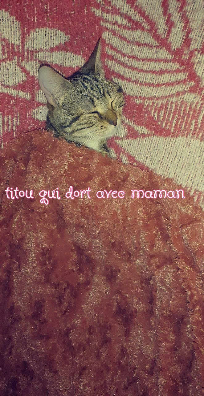 Titou