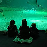 Enzo participe au concours pour gagner de l'argent avec cette photo : children, aquarium, stingrays, fish, underwater, silhouettes, green_light, seated, observation, marine_life, water, rocks, sand, dark, indoor, family, leisure, curiosity, back_view, nature
