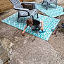 child, boy, plastic_chair, outdoor, rug, concrete, slippers, toys, play, crouching, curious, wooden_fence, casual, daylight, footwear, pattern, concrete_floor, plastic, backyard, exploration
