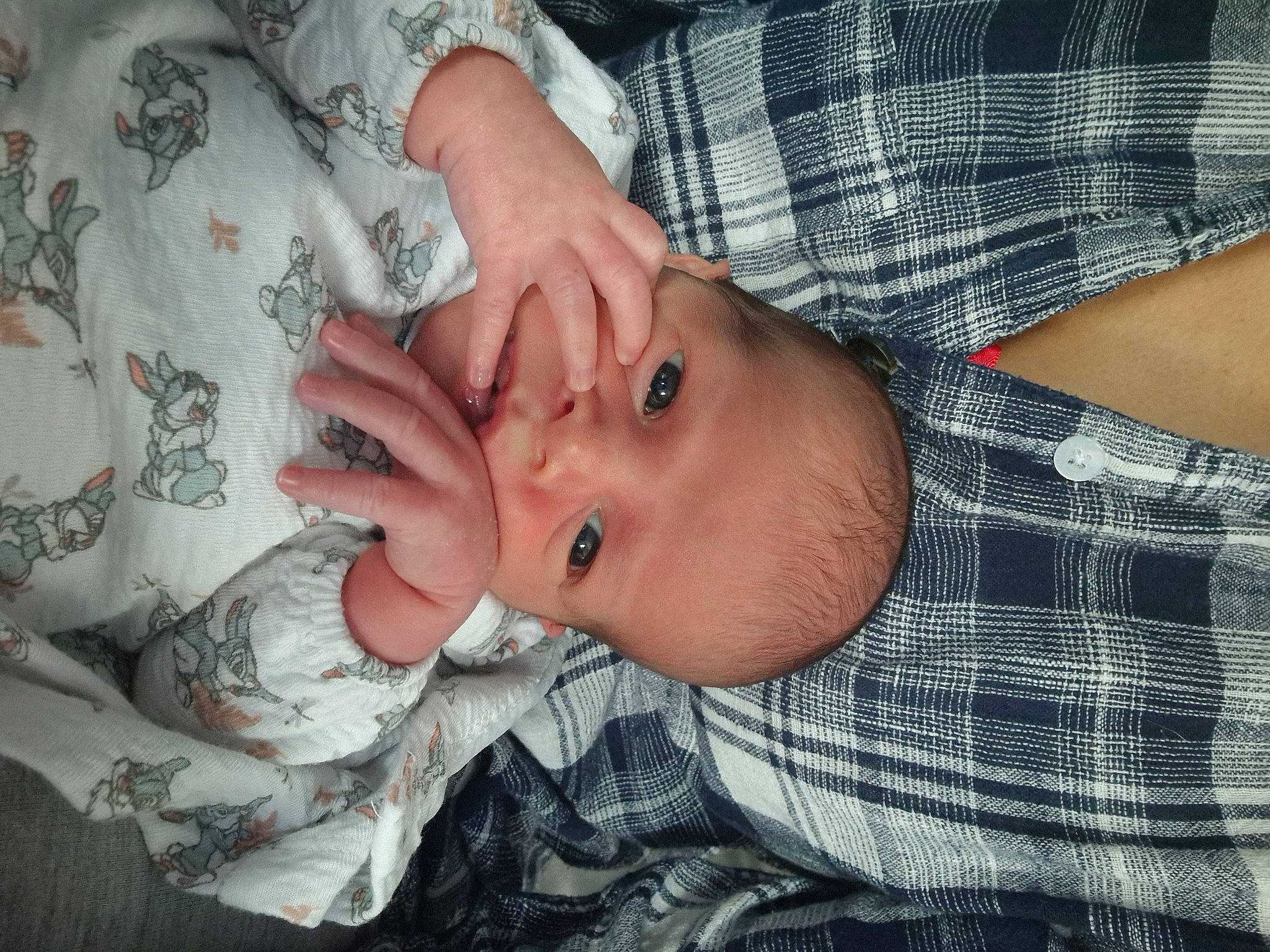 Kai is registered to the contest to win money with this photo: baby, cheek, chest, child, elbow, eye, eyelash, gesture, happy, mouth, nail, nose, pattern, person, plaid, skin, tartan, thumb, toddler, trunk