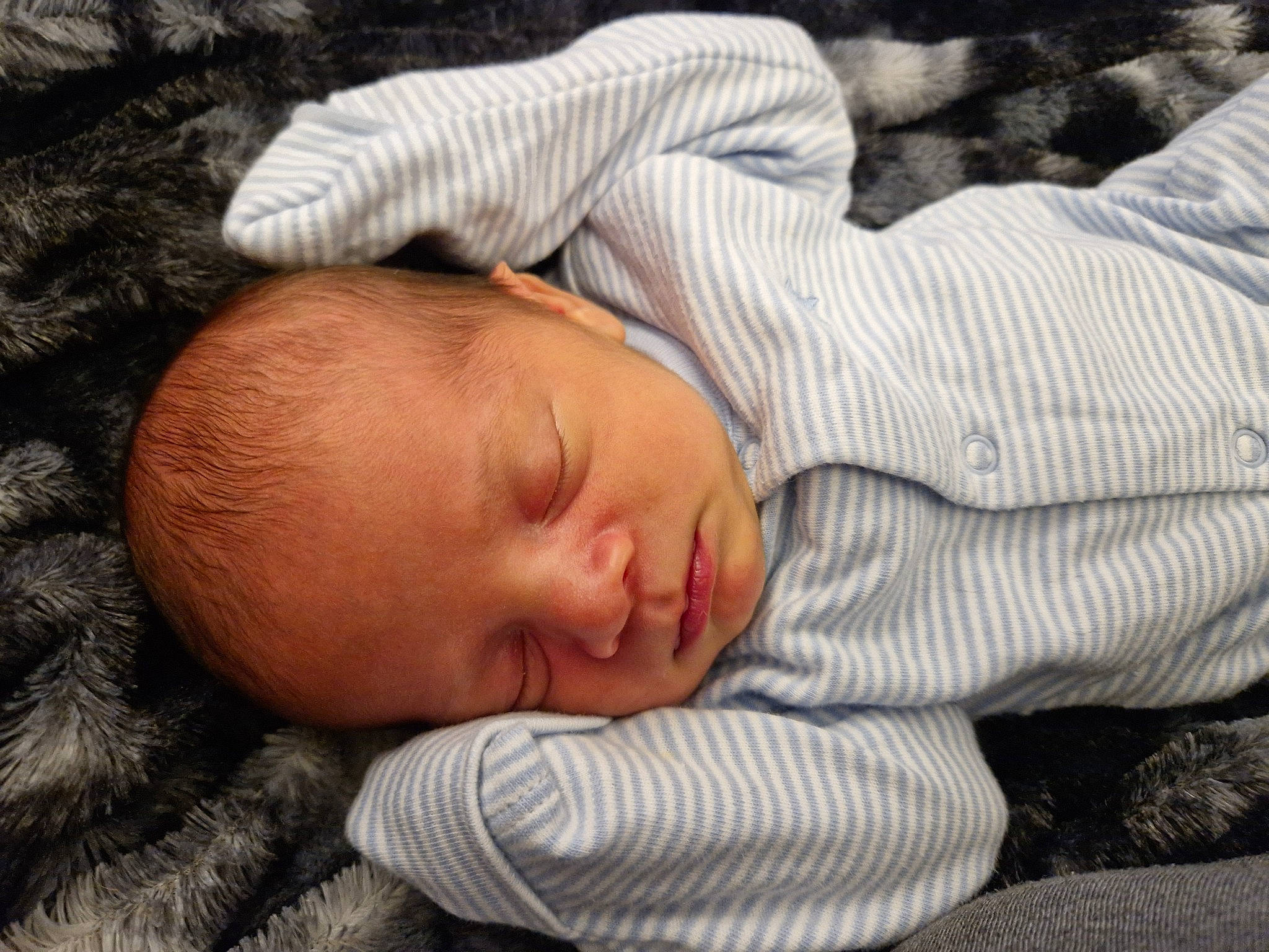 Kai is registered to the contest to win money with this photo: baby, baby_products, baby_toddler_clothing, bedtime, cheek, child, comfort, fur, grass, linens, nap, nose, pattern, person, portrait_photography, sitting, skin, sleep, toddler, tree