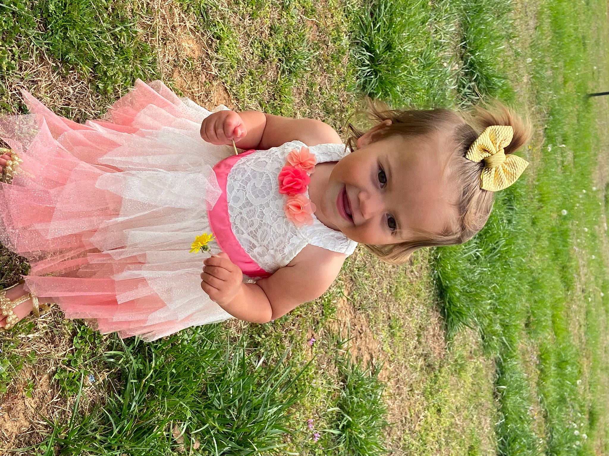 Emma Grace joined the competition — help win amazing prizes! baby, baby_toddler_clothing, botany, child, dress, event, fun, grass, grass_family, grassland, happy, iris, joy, lawn, meadow, pattern, people_in_nature, person, plant, skin