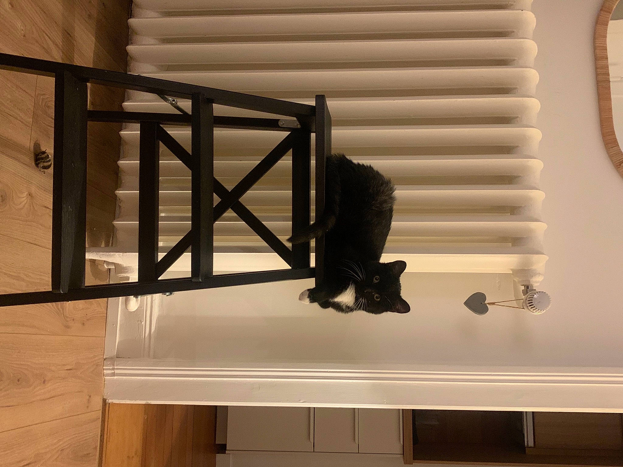 Hekla a rejoint le concours — aidez-le/la à gagner de superbes lots ! baluster, boot, ceiling, comfort, daylighting, handrail, hardwood, interior_design, metal, rectangle, room, shade, shadow, shelving, shoe, stairs, tints_and_shades, window, window_covering, wood