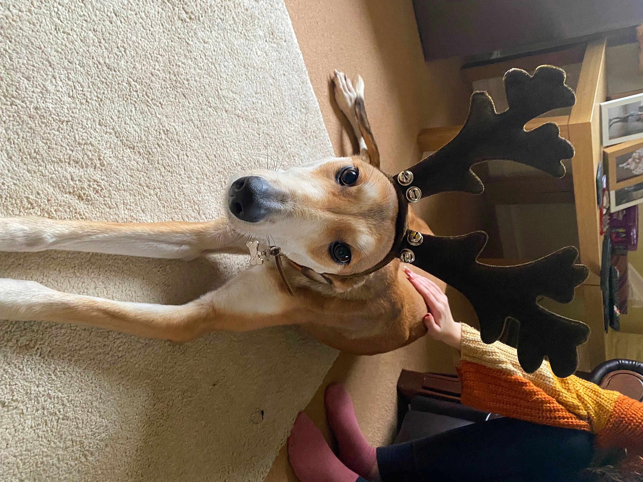 Coco