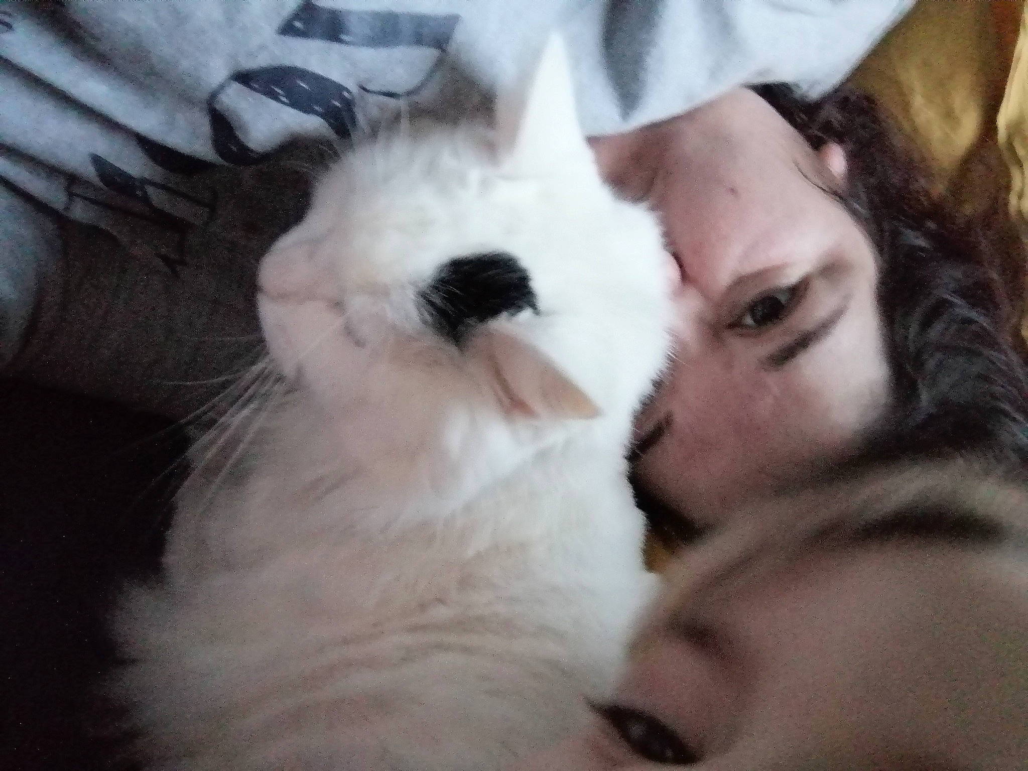 Nuage participe au concours pour gagner de l'argent avec cette photo : bichon, canidae, carnivore, cat, companion_dog, dog_breed, ear, fur, maltese, nose, puppy, puppy_love, rabbit, rabbits_and_hares, ragdoll, whiskers