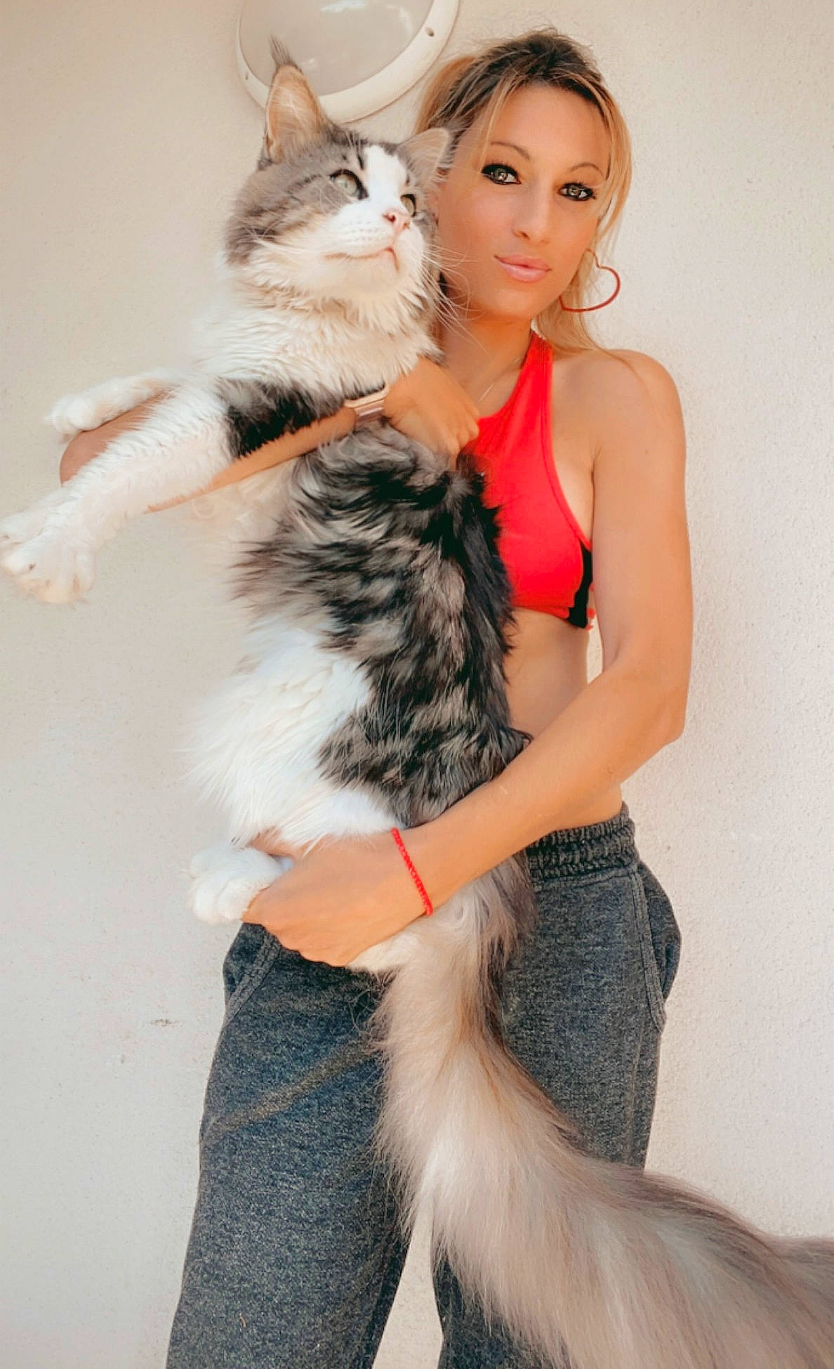 Alfa participe au concours pour gagner de l'argent avec cette photo : abdomen, black_hair, carnivore, cat, chair, companion_dog, dress, fashion_design, fawn, hair, head, human_body, knee, lap, leg, neck, skin, thigh, trunk, waist