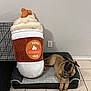 Chavo joined the competition — help win amazing prizes! animal, brown_dog, cage, canine, cozy, cute, dog, dog_bed, floor, home, indoor, large_plush, pet, plush_toy, pumpkin_spice, relaxed, resting, tile_floor, toy, wall_socket