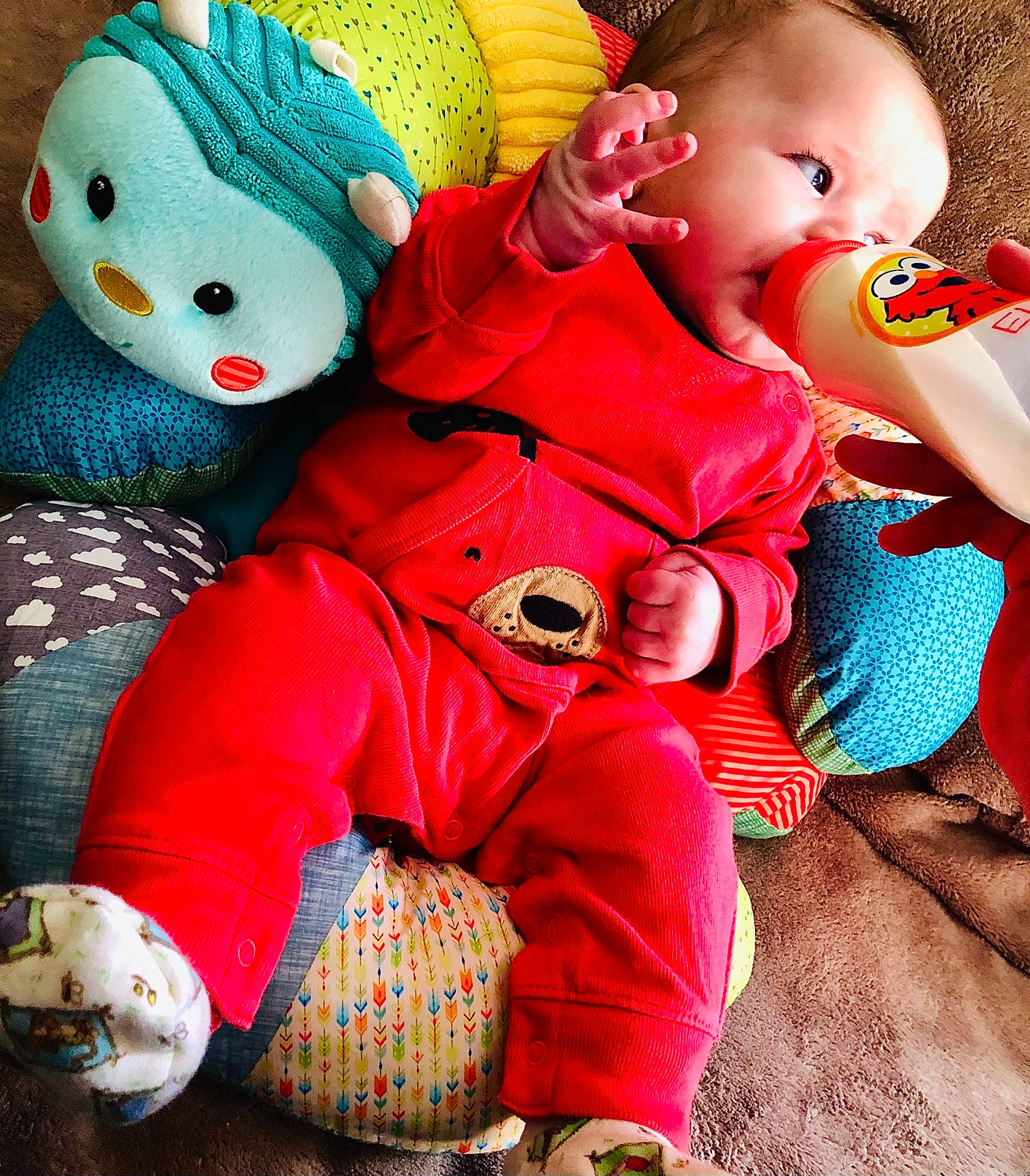 Dylan a rejoint le concours — aidez-le/la à gagner de superbes lots ! baby, baby_products, baby_toddler_clothing, baby_toys, cheek, child, overall, person, plush, puppet, stuffed_toy, textile, toddler, toy, wool, woolen