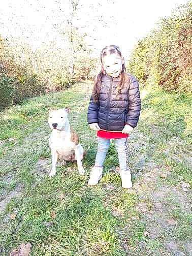 Bianka a rejoint le concours — aidez-le/la à gagner de superbes lots ! boot, canidae, carnivore, companion_dog, denim, dog, dog_breed, fur, grass, human, jacket, jeans, mammal, non_sporting_group, puppy, sporting_group, terrier, toy_dog, working_animal, working_dog