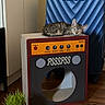 Cinnamon joined the competition — help win amazing prizes! amplifier_design, cat, cat_house, cozy, decor, furniture, grass, home, indoor, kitten, luggage, pet, plant, quiet, resting, sleeping, small, suitcase, tabby, wooden_floor