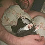 Loki is registered to the contest to win money with this photo: person, kitten, cat, paw, black_and_white, blanket, floral_pattern, bed, tattoo, arm, hand, resting, indoor, sleeping, feline, cute, pet, fur, cozy, closeup