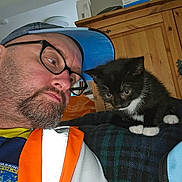 Loki is registered to the contest to win money with this photo: man, glasses, cap, beard, kitten, black_and_white_cat, blanket, plaid, indoor, wooden_furniture, curiosity, pet, animal, portrait, face, close_up, casual_clothing, home, resting, interaction