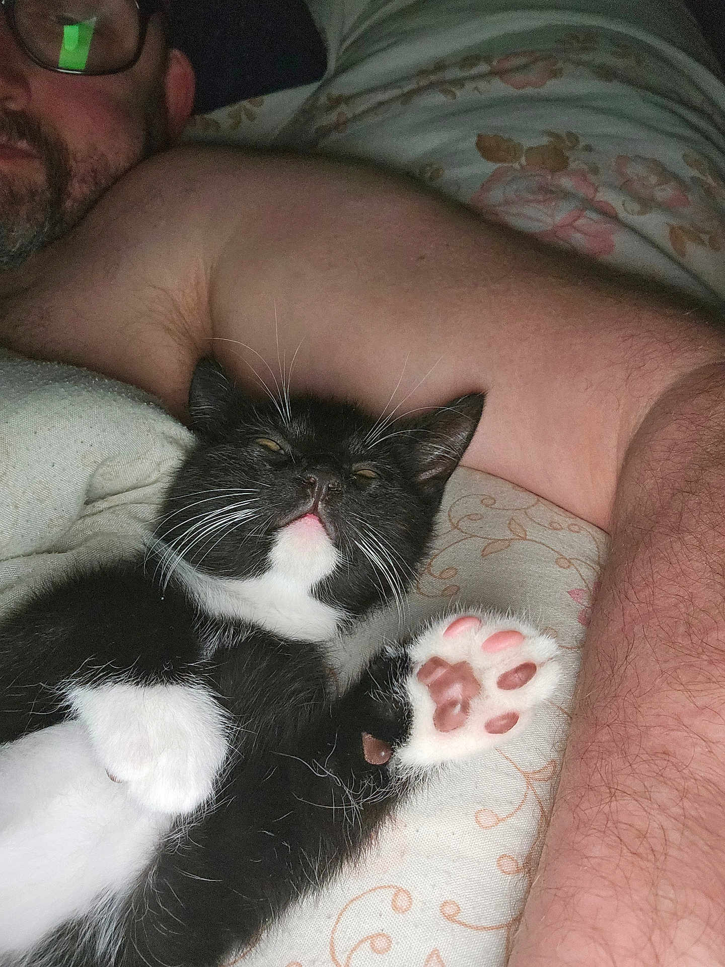 Loki