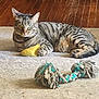 cat, tabby, toy, yellow_toy, rope_toy, rug, wooden_floor, indoor, pet, feline, striped, relaxed, claw, paw, whiskers, green_eyes, laying_down, domestic_cat, animal, cute