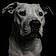 Rosco