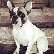 Fitness participe au concours pour gagner de l'argent avec cette photo :