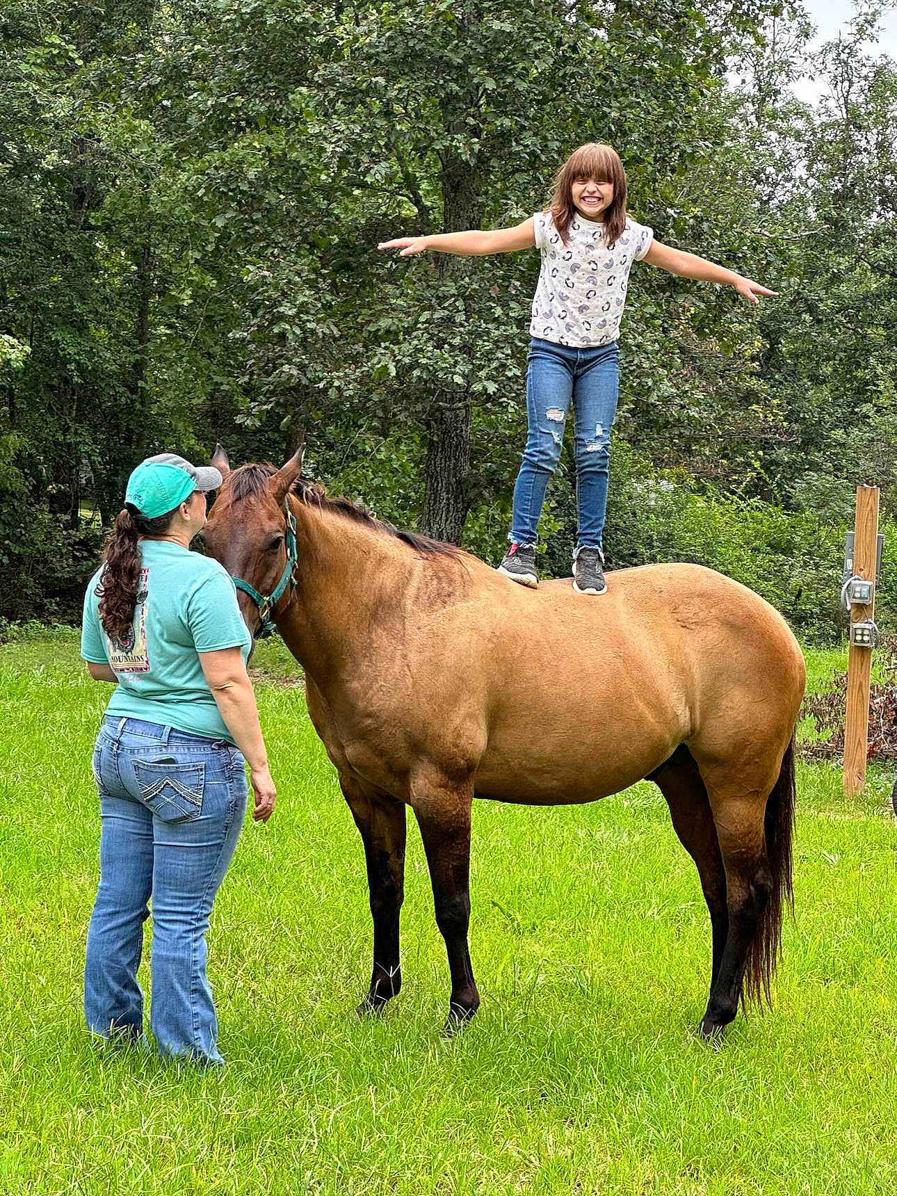 Kaylee is registered to the contest to win money with this photo: bridle, gesture, grass, grassland, horse, horse_supplies, horse_tack, jeans, joy, landscape, liver, mane, meadow, pack_animal, people_in_nature, person, plant, rein, sorrel, terrestrial_animal