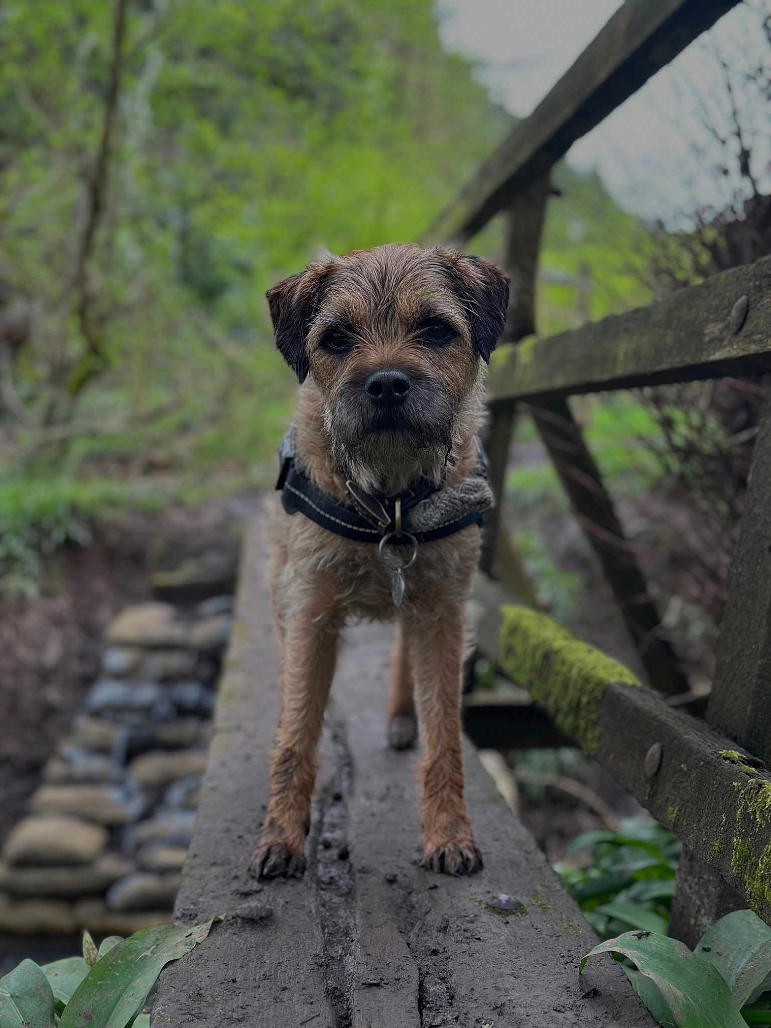 Monty