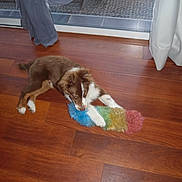 Léo a rejoint le concours — aidez-le/la à gagner de superbes lots !