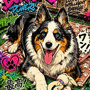 Laïka participe au concours pour gagner de l'argent avec cette photo : animal, artwork, background, cartoon, collar, colorful, comic_style, dog, drawing, graffiti, happy, illustration, paw_prints, playful, star, street_art, text_overlay, tongue_out, toy, vibrant
