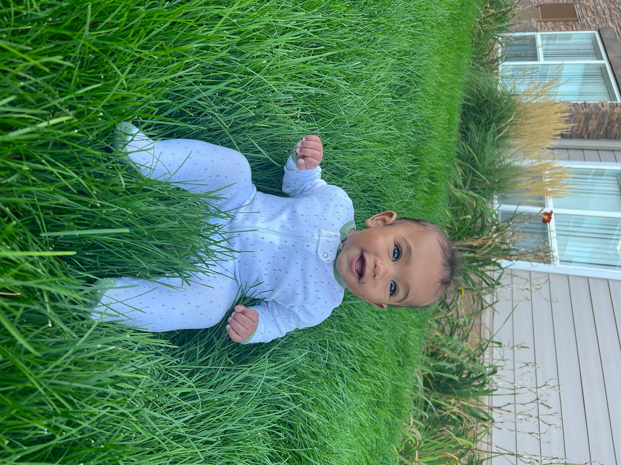Bellamy joined the competition — help win amazing prizes! baby_toddler_clothing, botany, fun, garden, grass, grass_family, grassland, green, groundcover, happy, hat, lawn, lawn_ornament, people_in_nature, person, plant, shrub, sitting, terrestrial_plant, toddler