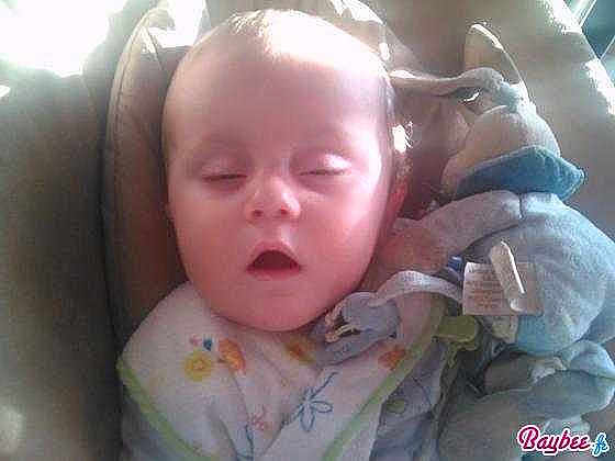 Enzo participe au concours pour gagner de l'argent avec cette photo :