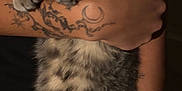 Oxx is registered to the contest to win money with this photo: cat, tabby, gray_cat, pet, tattoo, bracelet, human_hand, holding, indoor, close_up, animal, feline, cute, collar, jewelry, fur, whiskers, paws, face, eyes