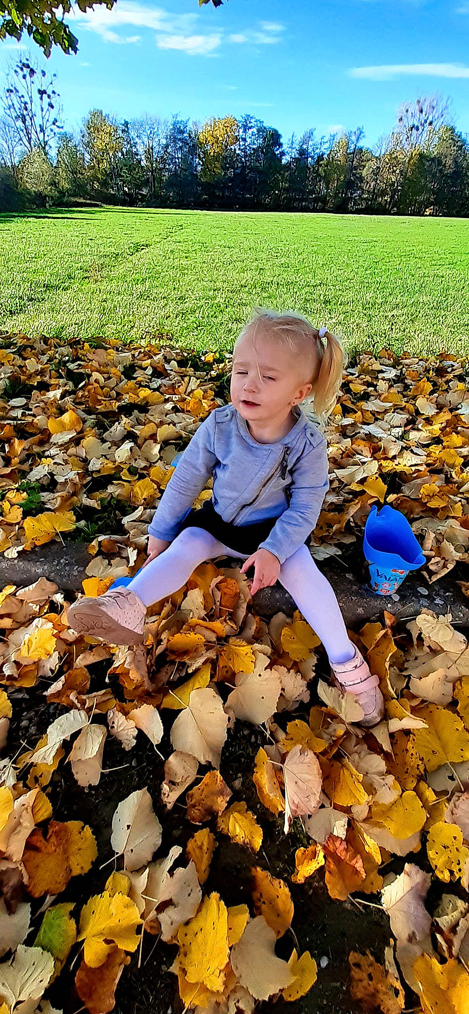 Madison participe au concours pour gagner de l'argent avec cette photo : baby_toddler_clothing, botany, deciduous, grass, happy, human_body, landscape, leaf, natural_foods, nature, people, people_in_nature, person, plant, sitting, soil, spring, toddler, tree, wilderness