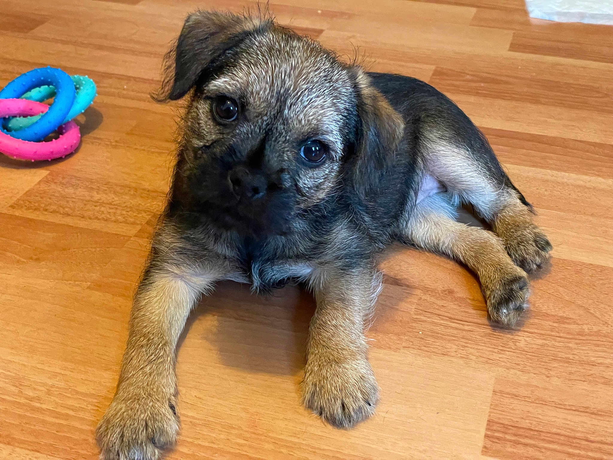 Luna