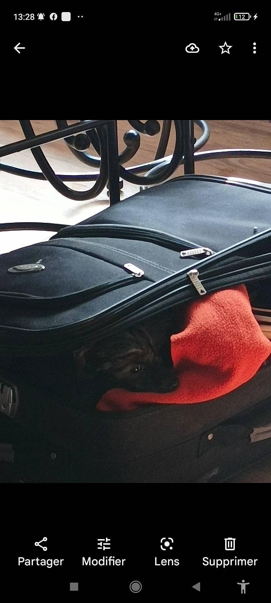 Talia a rejoint le concours — aidez-le/la à gagner de superbes lots ! audio_equipment, automotive_design, automotive_exterior, automotive_lighting, backpack, bag, baggage, bumper, comfort, gadget, hood, luggage_and_bags, musical_instrument, musical_instrument_accessory, personal_luxury_car, tints_and_shades, travel, trunk, vehicle_door, window