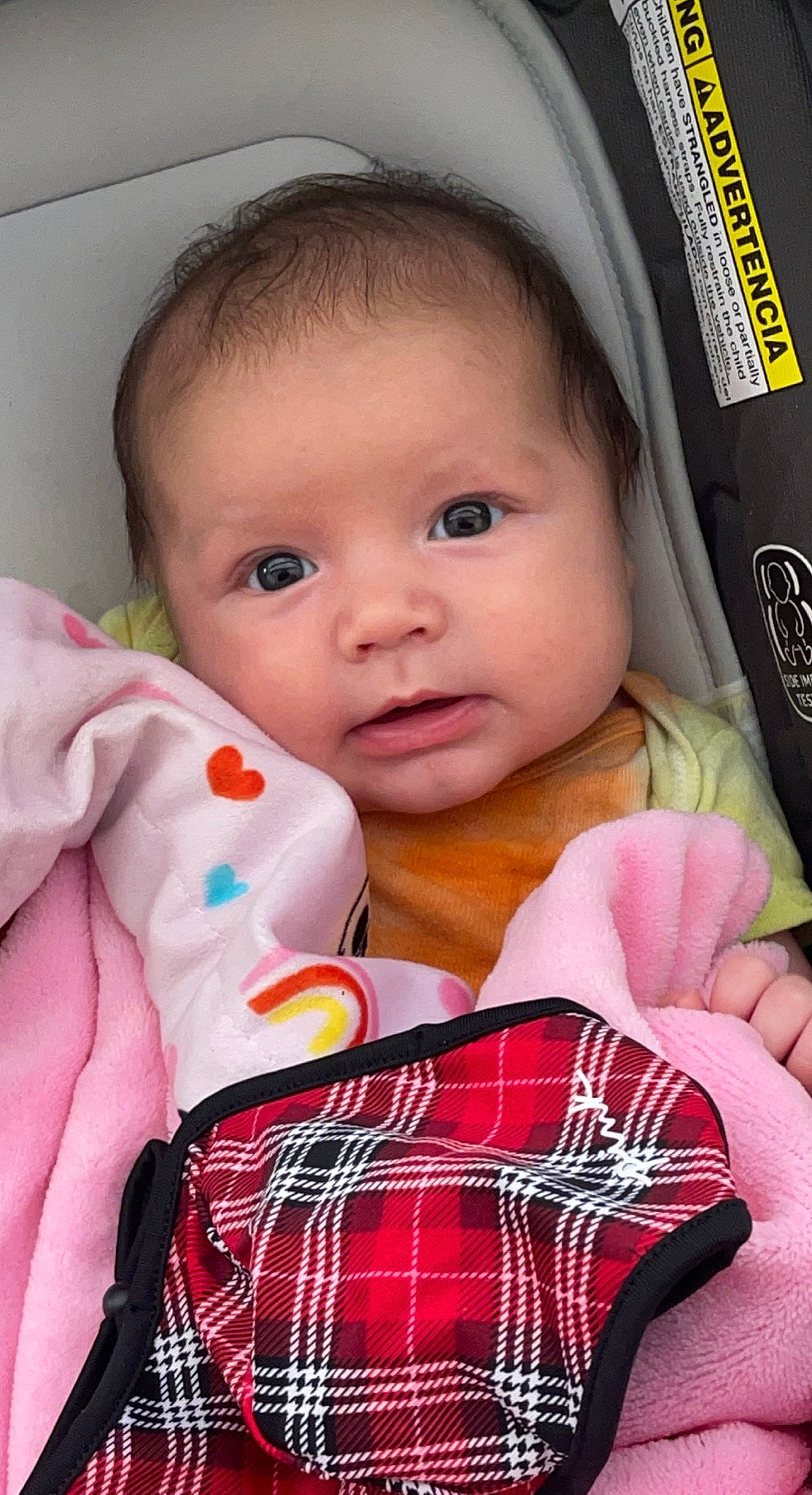 Sterling joined the competition — help win amazing prizes! baby, baby_toddler_clothing, cheek, child, collar, facial_expression, happy, human, lip, nose, organ, person, pink, plaid, product, skin, sleeve, tartan, textile, toddler