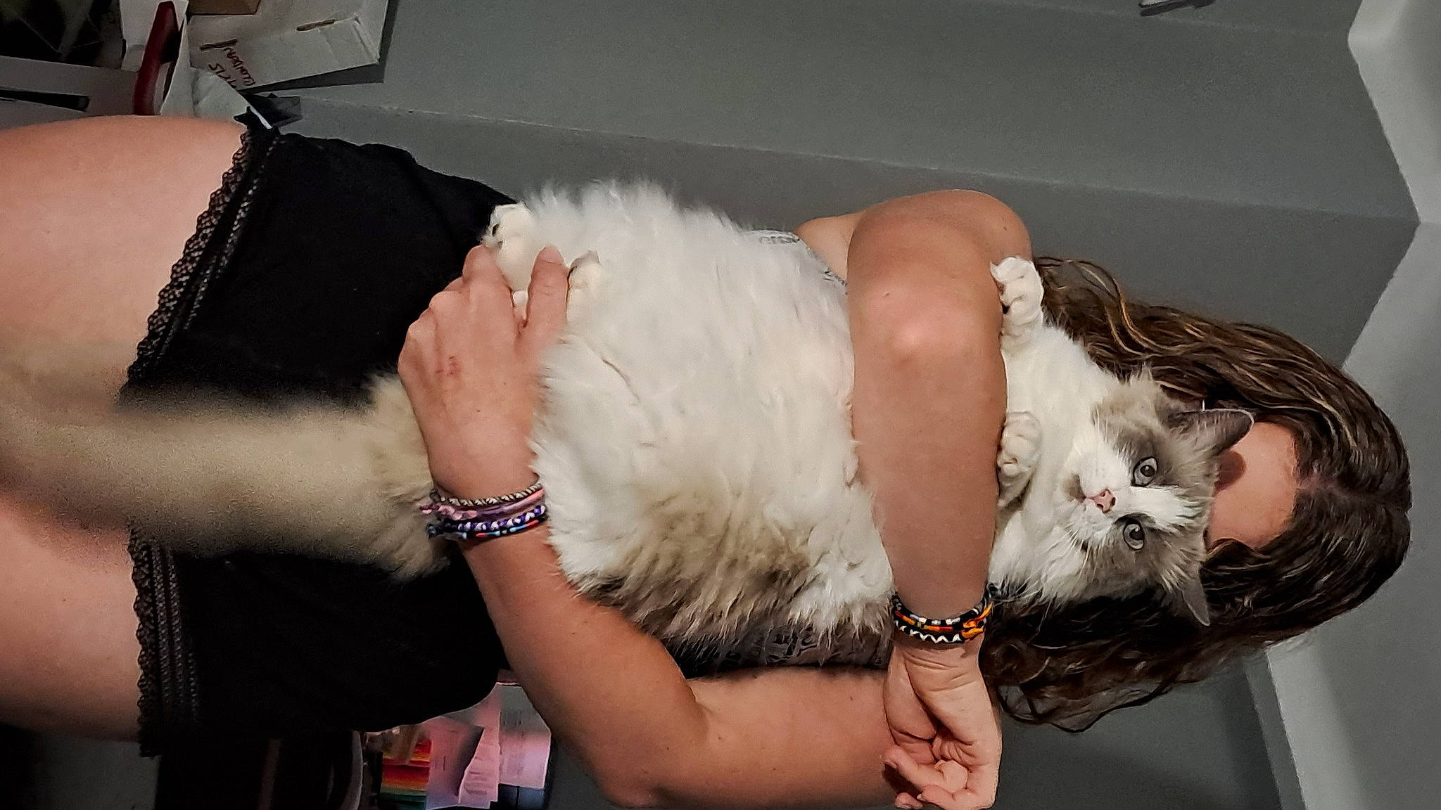 Poupette a rejoint le concours — aidez-le/la à gagner de superbes lots ! abdomen, animal_product, bracelet, cat, comfort, elbow, event, fashion_accessory, feather, felidae, finger, flesh, formal_wear, fur, gesture, jewellery, nail, natural_material, tail, wrist