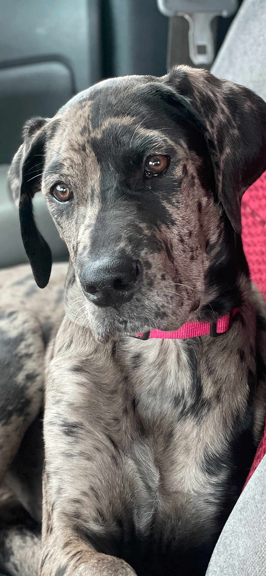 Tilly