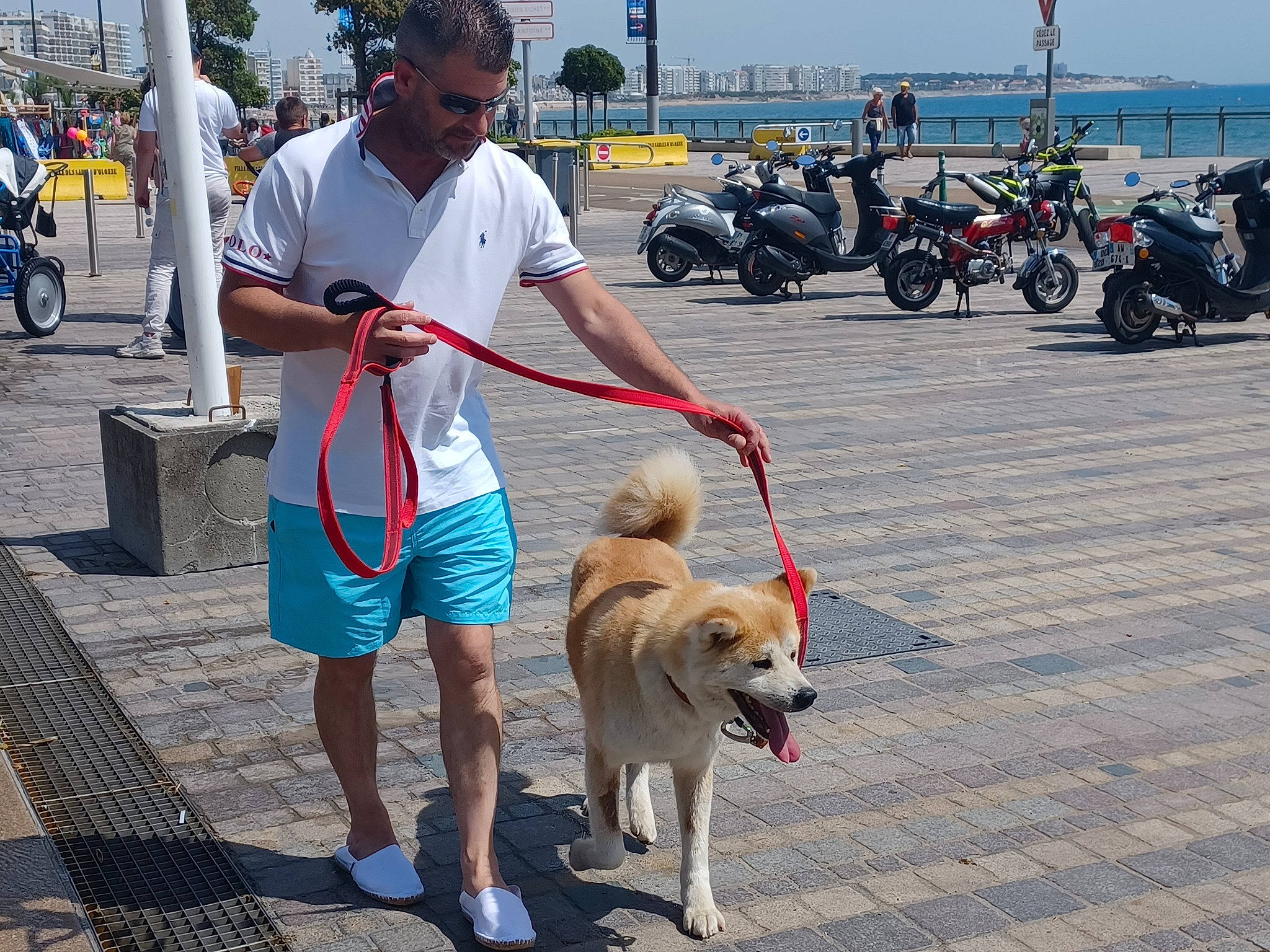 Kana participe au concours pour gagner de l'argent avec cette photo : automotive_tire, canidae, carnivore, companion_dog, dog, dog_breed, dog_walking, fashion_accessory, leash, leisure, pet_supply, shorts, sidewalk, sky, sporting_group, tire, vehicle, wheel, working_animal, working_dog